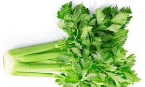 Celery(सेलेरी)-100g