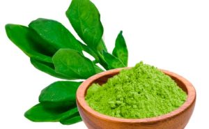 Spinach Powder(पालकको पाउडर)-100g