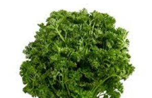 Parsley (पार्शले)-50g